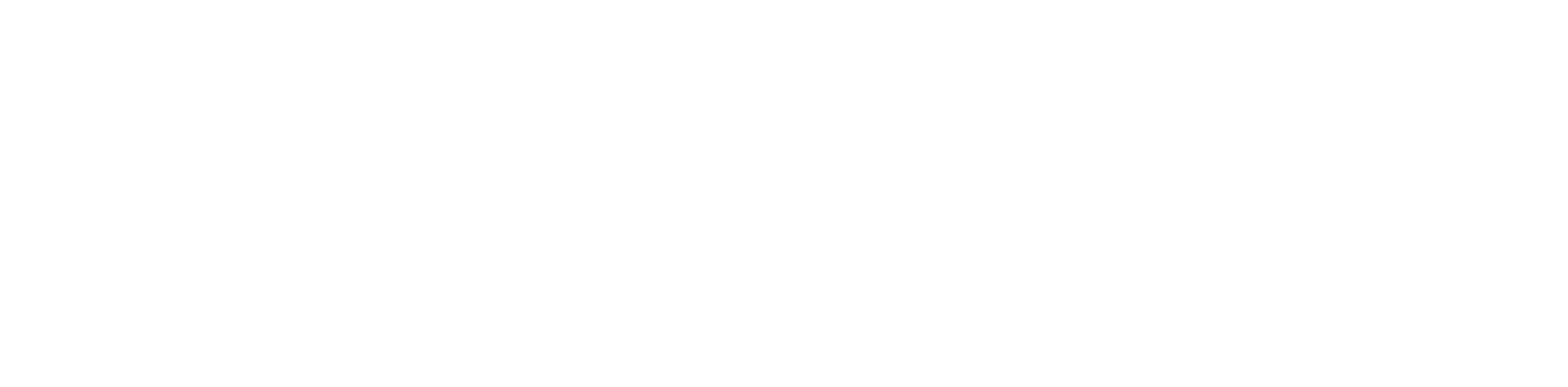 Logo Estúdio Wender Feijó