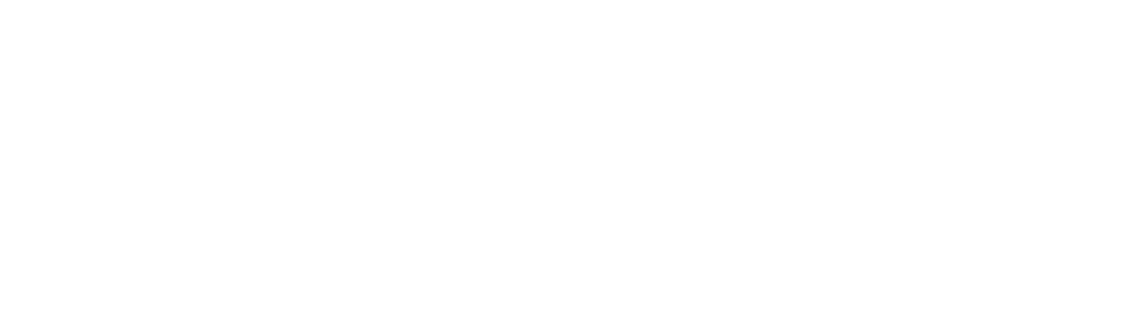 Logo Nevada