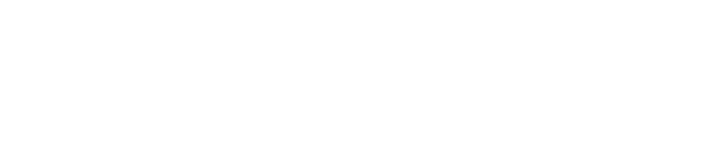 Logo Fonsatti & Franzin