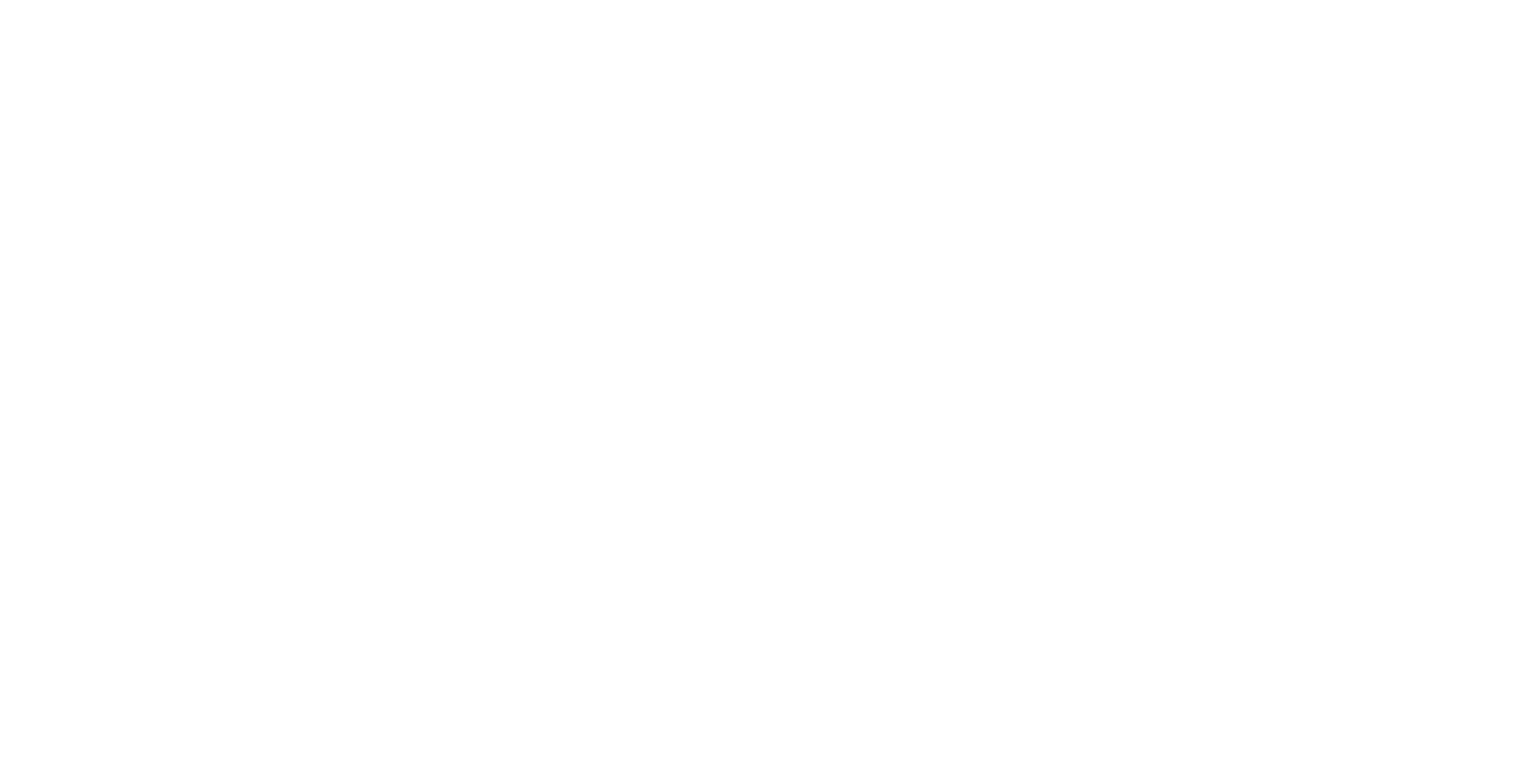 Logo RIC Record
